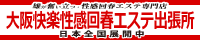 �����y������t�G�X�e�o����